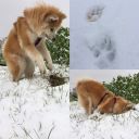 Dateiname=Chihiro26.jpg
Dateigröße=60KB
Abmessungen: 640x640
hinzugefügt am: 11. Dezember 2017 Chihiro26.jpg