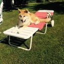 Dateiname=Wasserratte6_Chimori.jpg
Dateigröße=129KB
Abmessungen: 640x640
hinzugefügt am: 09. Juli 2015 Wasserratte6_Chimori.jpg