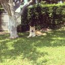 Dateiname=Wasserratte7_Chimori.jpg
Dateigröße=197KB
Abmessungen: 800x800
hinzugefügt am: 09. Juli 2015 Wasserratte7_Chimori.jpg