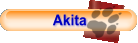 Akita